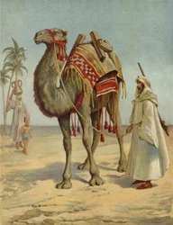 Een Arabische koopman